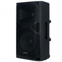 12 Inch Battery powered Bluetooth Speaker