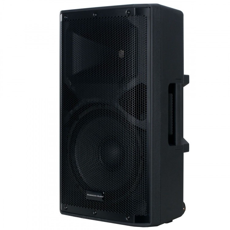 12 Inch Battery powered Bluetooth Speaker