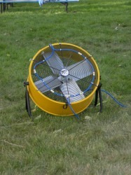 Fan (Large)
