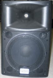 12in Monitor Speaker - Passive